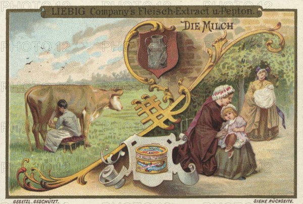 Picture series Drinks of the World, The Milk, Liebig picture, digitally restored reproduction of a collector's picture from around 1900, public domain, exact date unknown, rural scene with cow milking and a family on a green meadow