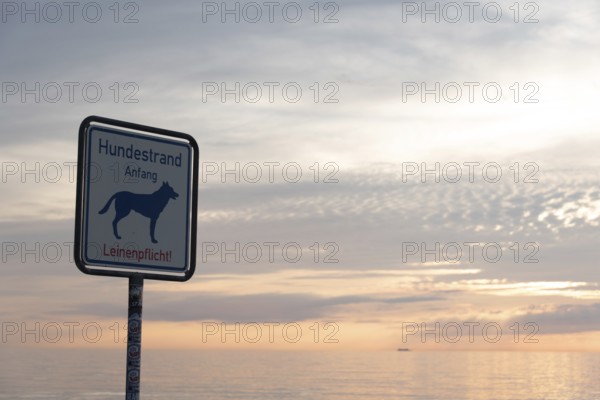 Sign on the dog beach at sunset with calm sea and cloudy sky, dog symbol and leash requirement notice, Baltic Sea peninsula Fischland-Darß-Zingst, Dierhagen, Mecklenburg-Western Pomerania, Germany, Europe