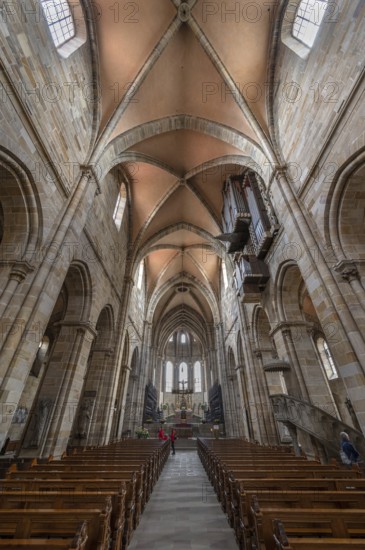 Interior with vault of Bamberg Cathedral, consecration 1237, Bamberg, Upper Franconia, Bavaria, Germany, Europe