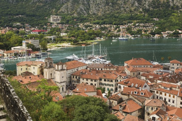 High angle view of walled mountainside walking trail, apartment buildings and houses covered with traditional terracotta clay roof tiles plus view of the bay, Old Town of Kotor, Montenegro, Europe