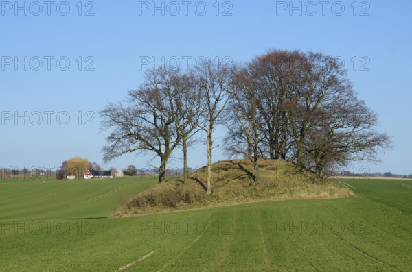 Ancient burial mound in the landscape of Vemmenhög, Skurup Municipality, Skåne County, Sweden, Scandinavia, Europe