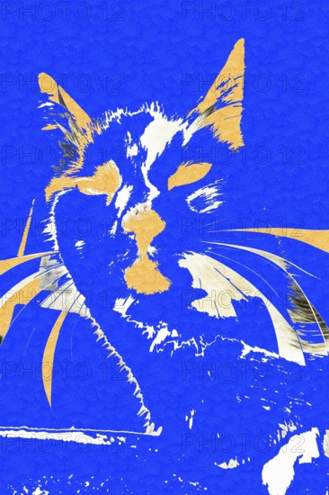 Michas Cats, art, mixed media, artist Michael Preyer, abstract cat portrait, portrait, cat head, painting, graphic, portrait of a cat, ears, whiskers, colour blocking, blue with yellow, alienation, Germany, Europe