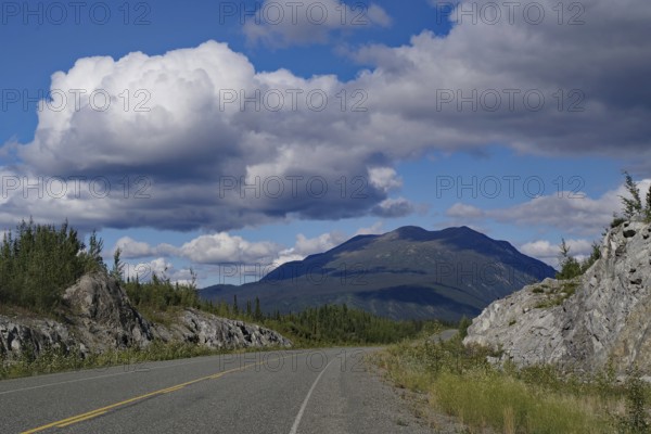 Endless road without traffic, adventure, summer, forest, wilderness, Alaska Highway, Yukon Territory, Canada, North America