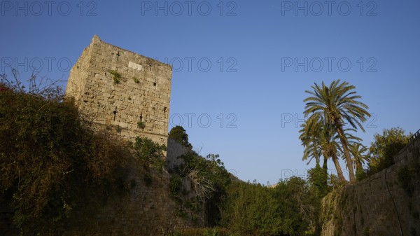 Ruin of an old tower under a clear sky next to a tall Palm tree, harbour area, Rhodes Town, Rhodes, Dodecanese, Greek Islands, Greece, Europe