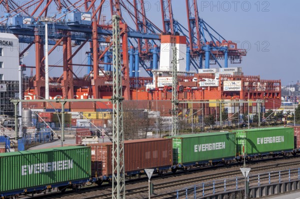 Port of Hamburg, Waltershofer Hafen, container ships, goods train with containers and container lorries bring and collect freight containers to and from HHLA Container Terminal Burchardkai, Hamburg, Germany, Europe