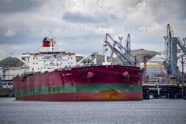 Large tanker for crude oil, Torm Gabriella, being unloaded, in the Petroleumhaven, seaport of Rotterdam, Maasvlakte, Rotterdam Netherlands