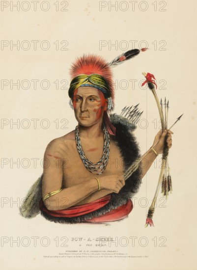 Pow-A-Sheek. A Fox Chief (1838), Indians, Historical Indian Tribes from North America, Charles Bird King (1785, 1862), Historical, digitally restored reproduction from a 19th century original, Record date not stated