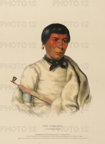 Pee-Che-Kir, A Chippewa Chief (1843), Native American, Historical Native American tribes from North America, Charles Bird King (1785, 1862), Historical, digitally restored reproduction from a 19th century original, Record date not stated