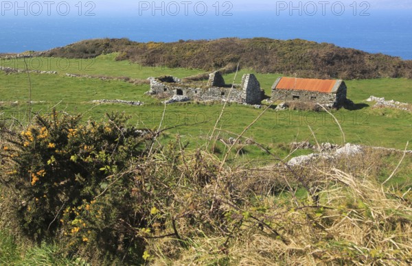 Abandoned ruined croft building on west coast of Cape Clear Island, County Cork, Ireland, Irish Republic, Europe