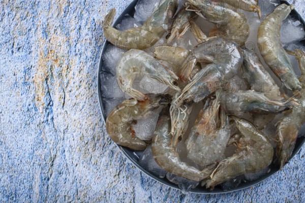 Fresh raw shrimp, spread on ice with lemon and cilantro slices on a marble surface, ready to cook, no people