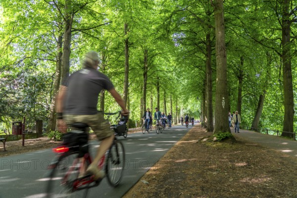 Promenade cycle path, tree-lined, car-free, approximately 4.5 km long ring road around the city centre of Münster, North Rhine-Westphalia, Germany, Europe