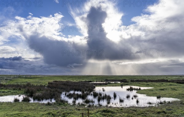 North Sea island of Spiekeroog, East Frisia, Lower Saxony, Germany, marshes, salt marshes, landscape on the south coast to the Wadden Sea, Europe