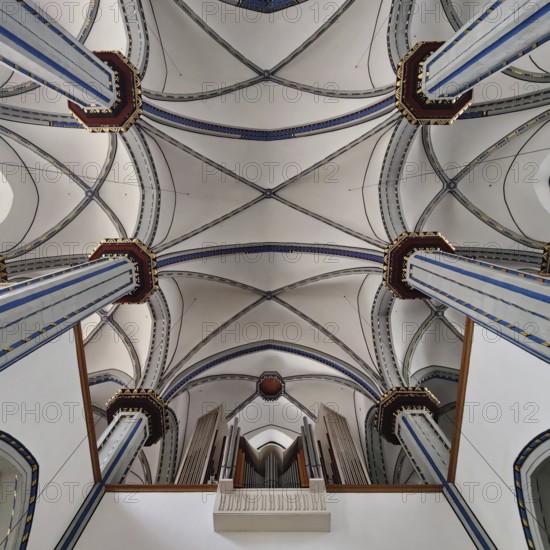 View of the ribbed vault of the Namen-Jesu-Kirche, Bonn, North Rhine-Westphalia, Germany, Europe