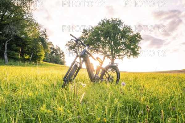 E-bike in a wide meadow, sun shines through the tree and illuminates the peaceful scenery, forest bike, e-bike, Calw, Black Forest, Germany, Europe