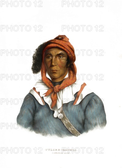 American Indian, Native American, Tulcee-Mathla, Chief of the Seminole Tribe, United States of America, USA, Painting by Charles Bird King (1785, 1862), c. 1840, Historic, digitally restored reproduction from a 19th century original, Record date not stated, North America