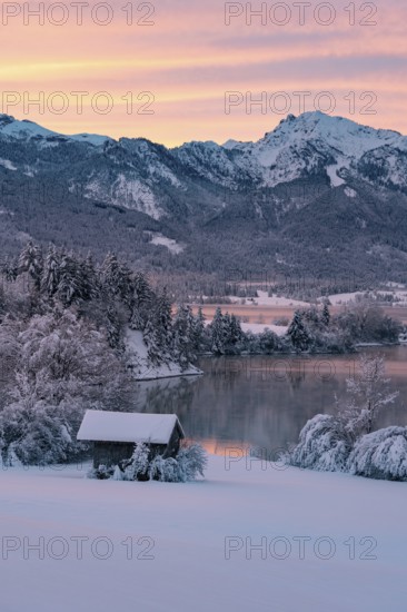 Dawn and sunrise at the wintry Forggensee in a snow-covered winter landscape in the foothills of the Alps in the Allgäu in Bavaria, Germany, Europe