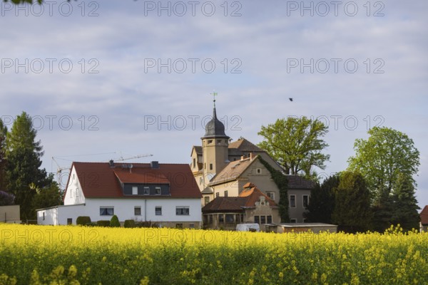 Blooming fields near Karsdorf in the Eastern Ore Mountains. Former manor in Kleincarsdorf, Karsdorf, Saxony, Germany, Europe