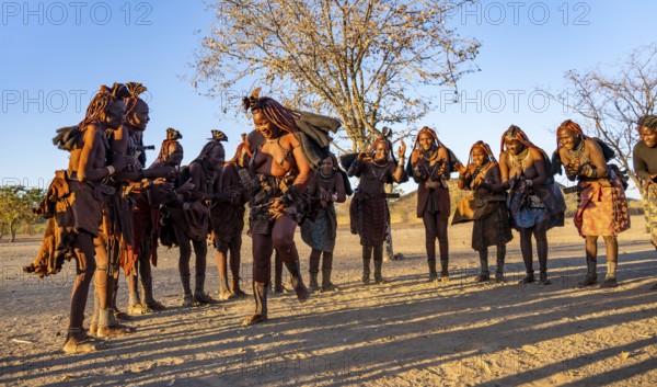 Group of traditional Himba woman standing in a semi-circle, clapping and dancing, music and dance, in the evening light, near Opuwo, Kaokoveld, Kunene, Namibia, Africa