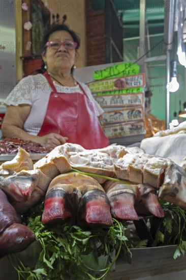 Oaxaca, Mexico, A vendor sells bull's feet and other meats at the Benito Juarez Market. Opened in 1894, it is one of the largest and oldest markets in Oaxaca. Its many dozen stalls sell food of every kind, clothing, souvenirs, and more, Central America