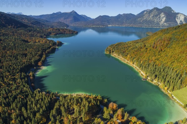 Aerial view of a mountain lake and autumnal coloured trees in the morning light, Walchensee, view of Simetsberg, Heimgarten, Herzogstand, Upper Bavaria, Bavaria, Germany, Europe