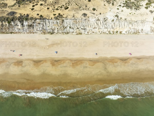 Beach life at the Asperillo cliff, the highest dune cliff in Europe. At the Atlantic Ocean near Matalascañas. Aerial view. Drone shot. Doñana Natural Park, Huelva province, Andalusia, Spain, Europe