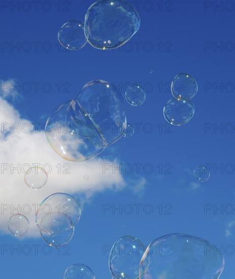 Soap bubbles float in front of a clear blue sky with a small white cloud, Spain, Europe