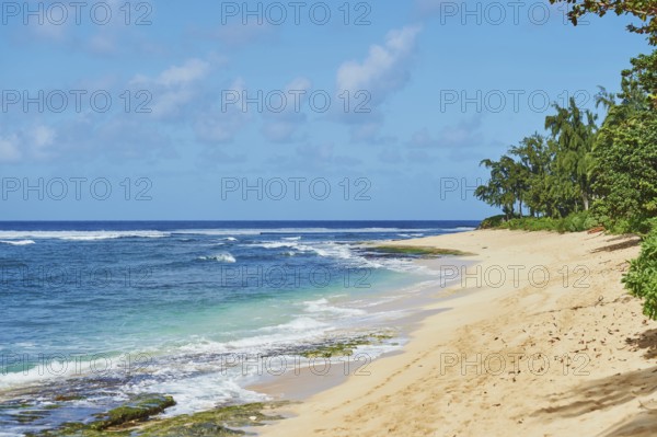 Landsape of the Sunset Beach on Oahu, North Shore, Hawaiian Island Oahu, O?ahu, Hawaii, Aloha State, United States, North America