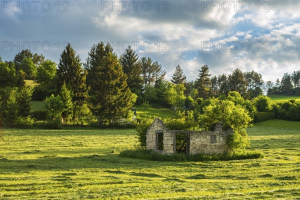 Dilapidated ruin of a stone hut on a freshly mown meadow in the evening light, Swabian Alb, Münsingen, Baden-Württemberg, Germany, Europe