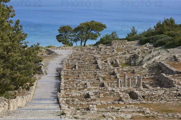 Ancient ruins along a stony path with trees and sea in the background, Hellenistic houses, Kamiros, Archaeological site, Ancient city, Foundation of Doric Greeks, Rhodes, Dodecanese, Greek Islands, Greece, Europe