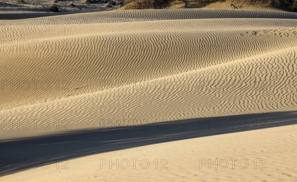 Maspalomas Dunes nature reserve, sand dunes in the evening light, Las Palmas province, Gran Canaria, Canary Islands, Spain, Europe