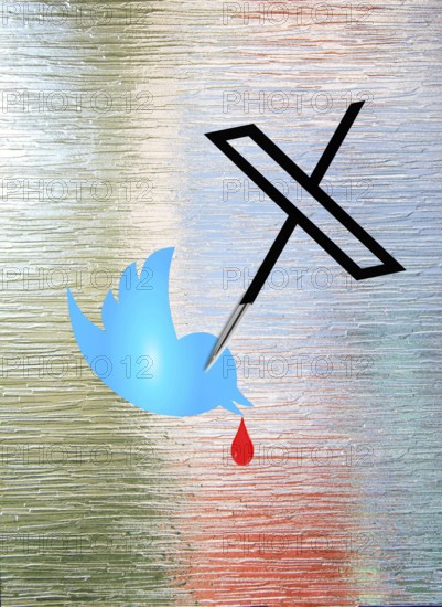 Symbol image, Network-X stabs Twitter, Elon Musk, Socialmedia, Hate speech, Free speech, Glamour factor Internet and computer, Mobile phone, Smartphone, Data traffic, @-sign. Mail traffic, AI, ChatGBT, AI, OpenAI, chatbot, artificial intelligence, artificial intelligence, IT system, computer science, AI learning, IT technology, computer system, software, Apple, Google, Microsoft, radical forums, ultra-right, right-wing radicals, Donald Trump