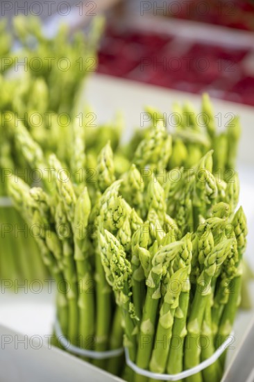 Green asparagus, bundled at the Freiburg weekly market market, Freiburg im Breisgau, Baden-Württemberg, Germany, Europe