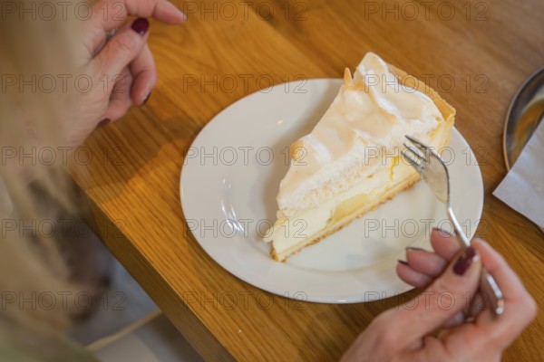 A slice of lemon cake with meringue topping on a plate, ready to eat, autumn creations, Cafe Kuh, Deckenpfronn, Black Forest, Germany, Europe