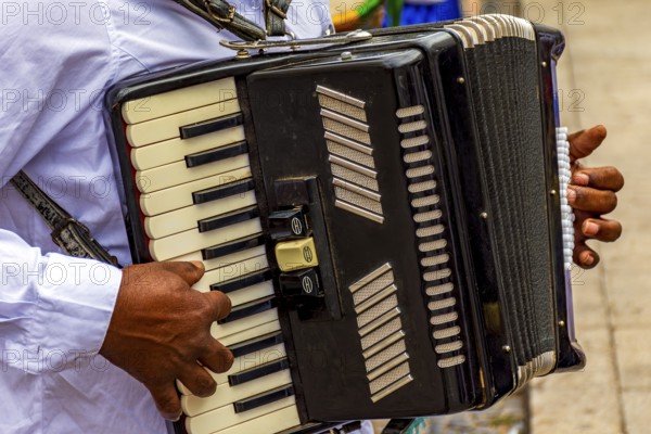 Hands of accordionist playing his instrument during a religious festival in the streets of Belo Horizonte, Brazil, Belo Horizonte, Minas Gerais, Brazil, South America