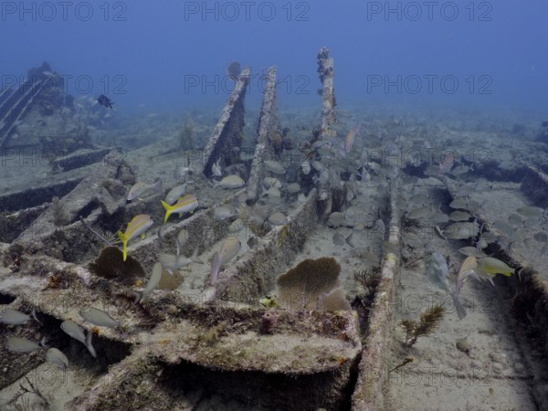 Wreck of the Benwood. Dive site John Pennekamp Coral Reef State Park, Key Largo, Florida Keys, Florida, USA, North America