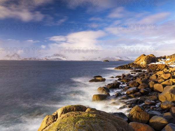 Rocky coast, snow-capped mountains in the background, Lofoten, Norway, Europe