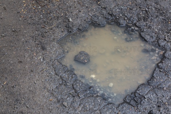 Pothole filled with rainwater on wet black asphalt road surface in spring, Montreal, Quebec, Canada, North America