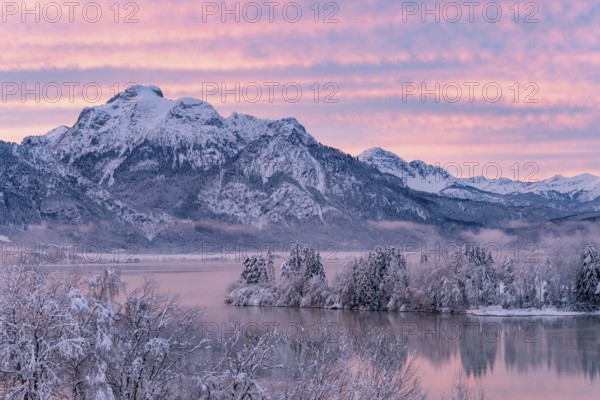 Dawn and sunrise at the wintry Forggensee in a snow-covered winter landscape in the foothills of the Alps in the Allgäu in Bavaria, Germany, Europe