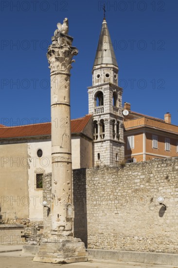 Pillar of Shame and Saint Elias Church bell tower in the old Croatian public square, Old Town of Zadar, Croatia, Europe