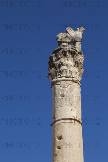 Close-up of the pillar of Shame in the old Croatian public Square, Old Town of Zadar, Croatia, Europe