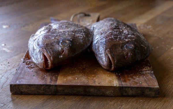 Two bream lying on a wooden board on a kitchen counter, ready for preparation, Zadar, Croatia, Europe