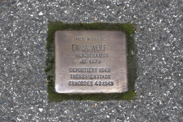 Stumbling stone, remembrance of Jewish fellow citizens who were persecuted, murdered and deported by National Socialism during the Nazi era, Schnaittach, Middle Franconia, Bavaria, Germany, Europe