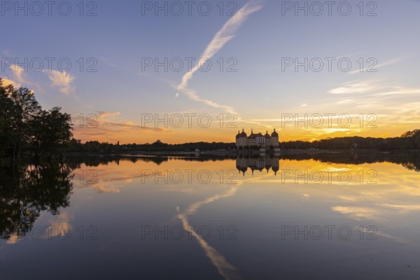 The moated castle, also known as a film set, lies in the middle of a lake and is a popular excursion destination. A pair of swans have built their nest on the lake shore, Moritzburg Baroque Castle, Moritzburg, Saxony, Germany, Europe