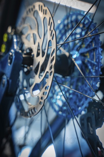 Close-up of a blue brake disc with spokes of a bicycle, Waldbike Manufaktur, bicycle workshop, Calw, district of Calw, Black Forest, Germany, Europe