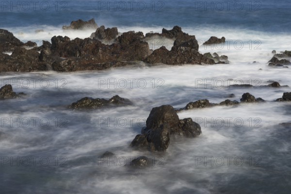 Atlantic coast near Puerto de la Cruz, Tenerife, Canary Islands, Spain, Europe