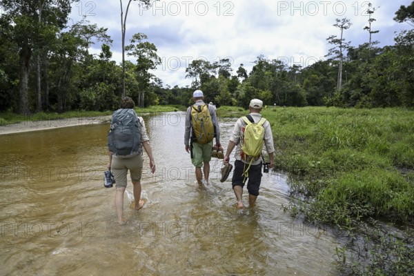 Tourists on the way to the Dzanga Bai forest clearing, Dzanga-Ndoki National Park, Unesco World Heritage Site, Dzanga-Sangha Complex of Protected Areas (DSPAC), Sangha-Mbaéré Prefecture, Central African Republic, Africa