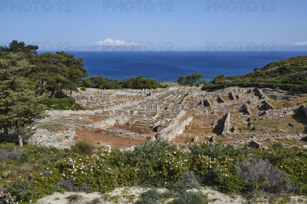 Ruins of an ancient city overlooking the sea, surrounded by vegetation under a blue sky, Kamiros, Archaeological site, Ancient city, Foundation of Doric Greeks, Rhodes, Dodecanese, Greek Islands, Greece, Europe