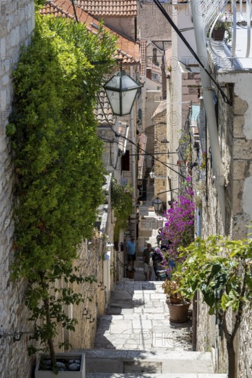 Typical alley in the old town of Hvar, island of Hvar, Dalmatia, Croatia, Europe