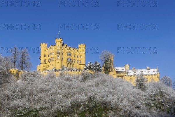 A castle majestically enthroned on a snow-covered hill with a blue sky, Hohenschwangau Castle, Schwangau, Königswinkel, Ostallgäu, Allgäu, Swabia, Bavaria, Germany, Europe