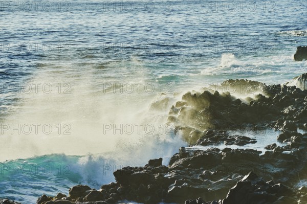 Landscape of rocks in the sea at Ka?ena Point State Park, Hawaiian Island Oahu, O?ahu, Hawaii, Aloha State, United States, North America